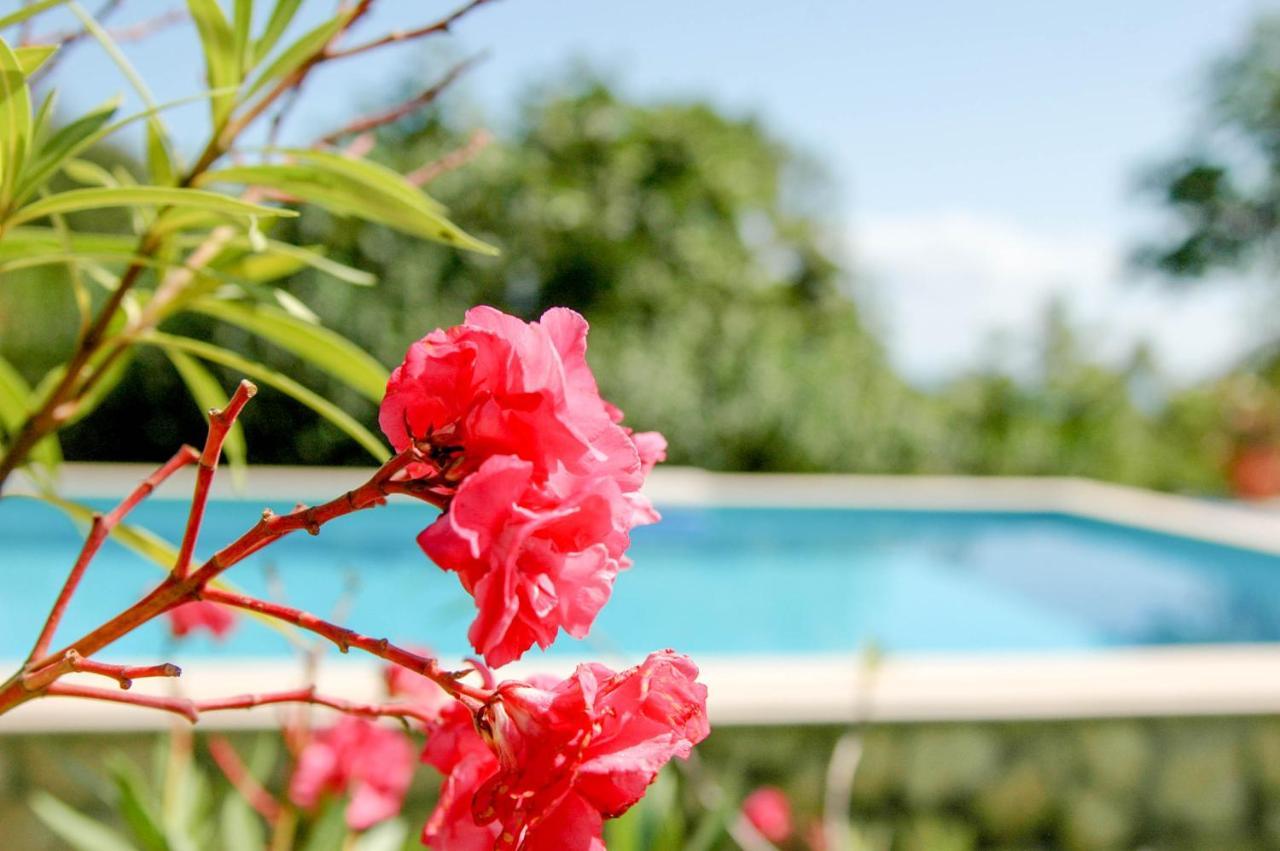 Villa Regina Serafina Balchik Eksteriør billede